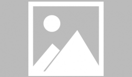 91年的姐姐直播,揭秘网络红人的魅力与挑战